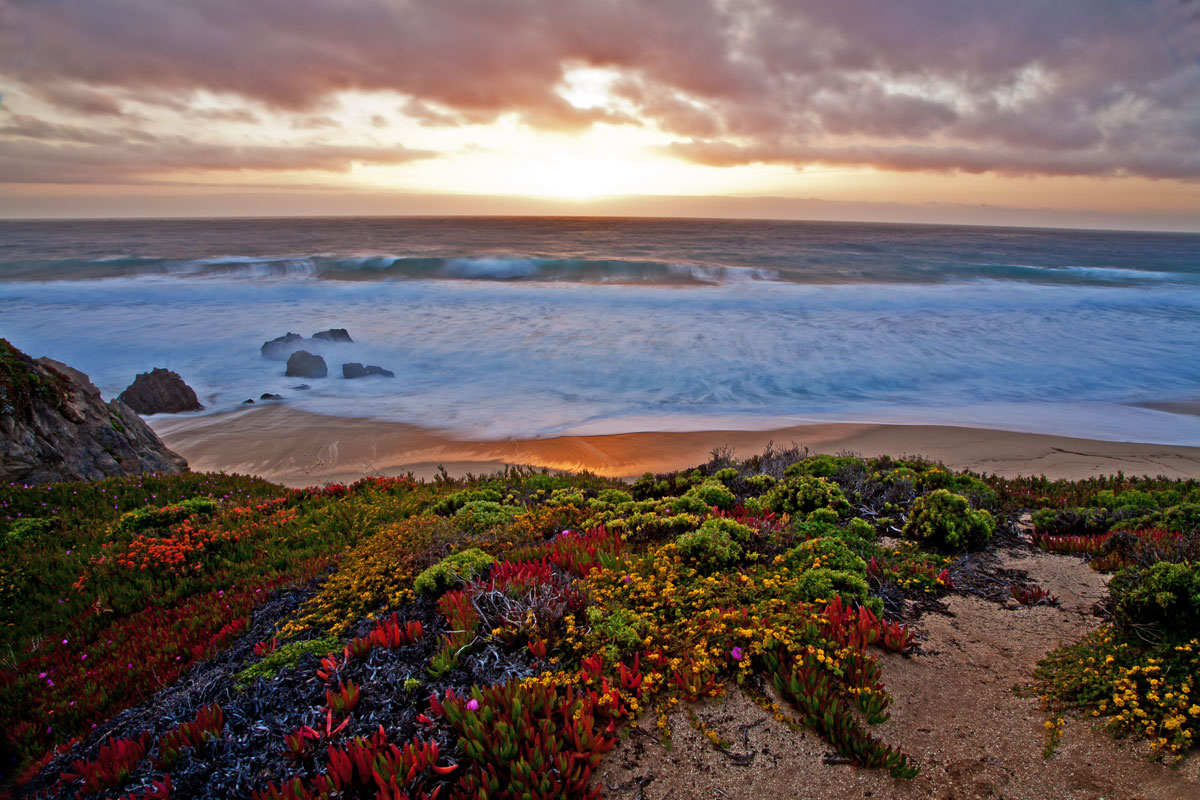 Big Sur Springtime