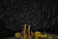 Star Trails & Setting Moon Over Cattle Ranch